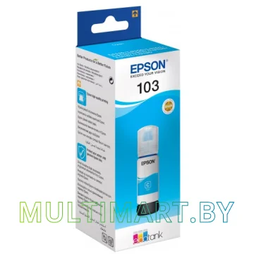 Чернила Epson C13T00S24A